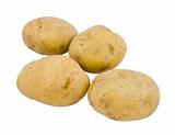 young potatoes on the white background