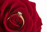 Engagement rose