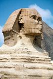 sphinx head