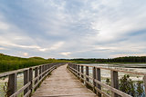 A wooden bridge over a marsh in the Cavendish Dunelands