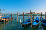Venice Italy, view of gondolas 