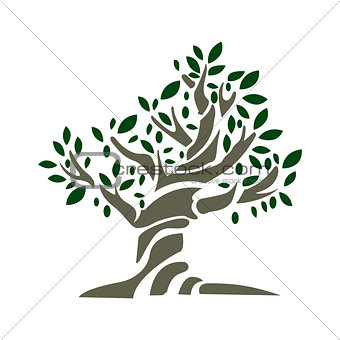 Vector Olive tree