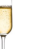 half glass of champagne with bubbles and space for text