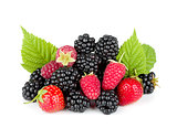 Blackberry, raspberry and strawberry