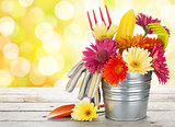 Colorful flowers and garden tools