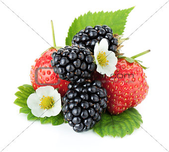 Strawberry and blackberry fruits