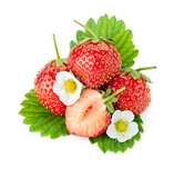 Strawberry fruits with flowers and leaves