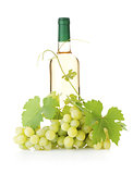 White wine bottle and grapes