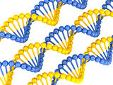 yellow blue DNA molecule