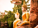 Seated buddha in Wat Phu Khao Thong. Ayutthaya,Thailand.
