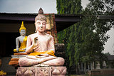 Buddha statues at Wat Phu Khao Thong in Ayutthaya. Thailand.