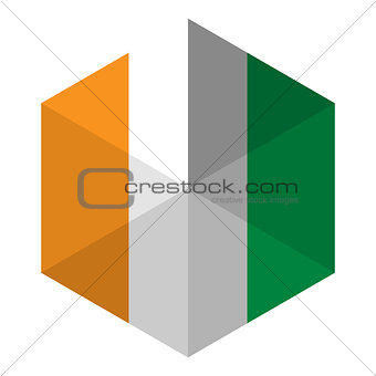 Ireland Flag Hexagon Flat Icon Button