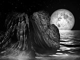 Moonlit Night - Sea Rock Landscape