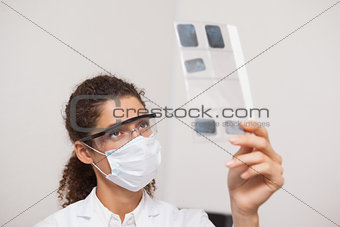 Dentist examining xrays on computer