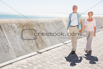 Senior couple walking and holding hands