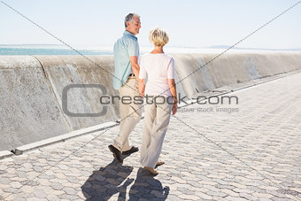 Senior couple holding hands and walking