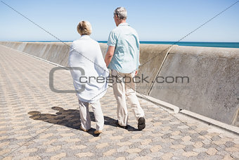 Senior couple holding hands and walking