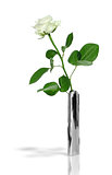 White rose in a stylish metal vase