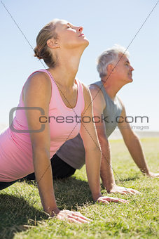 Fit mature couple warming up on the grass