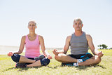 Fit mature couple sitting in lotus pose on the grass