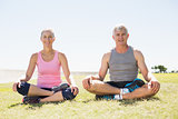 Fit mature couple sitting in lotus pose on the grass