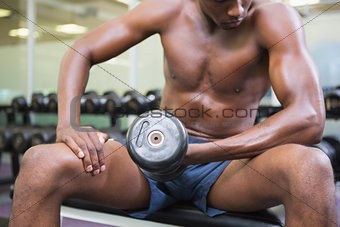 Mid section of shirtless muscular man exercising with dumbbell in gym