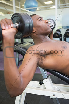 Shirtless young man exercising with dumbbells in gym
