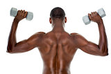 Rear view of a fit shirtless man lifting dumbbells