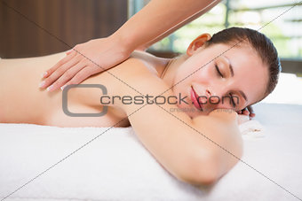 Attractive woman receiving back massage at spa center