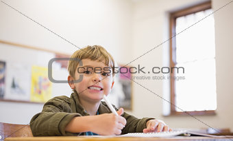 Happy pupil writing in notepad at his desk