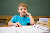 Happy pupil leaning on books at desk