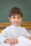 Happy pupil sitting at desk in classroom