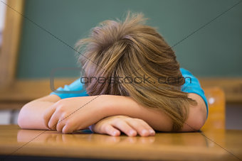 Sleepy pupil napping at desk in classroom