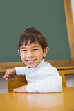 Cute pupil smiling at camera in classroom