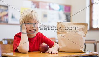 Cute pupil smiling at camera at desk in classroom