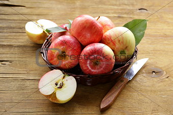 ripe red apples autumn harvest on a wooden background