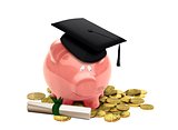 Education Fund with Piggy Bank