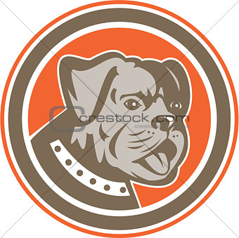 Bulldog Dog Mongrel Head Mascot Circle
