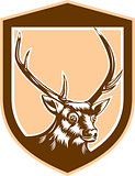 Deer Stag Buck Head Woodcut Shield