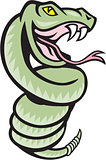 Rattle Snake Coiling Up Cartoon