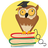 Crazy owl sitting on books