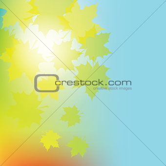 Colorful background with maple leaves.