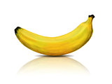 Illustration of banana