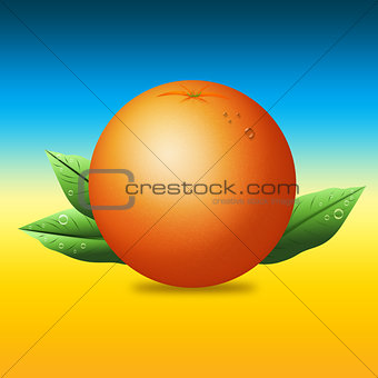 Orange with leaves