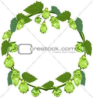 Wreath of hops in the form of a circle