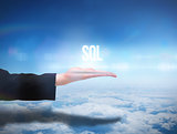 Businesswomans hand presenting the word sql