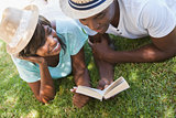 Happy young couple reading book on the grass