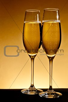 two elegant champagne glasses