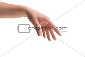 Female hand being held out