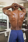 Rear view of a shirtless bodybuilder